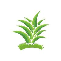 Aloe Vera logo icon design symbol beauty vector