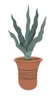 Flower in pot, houseplant with lush leaves vector