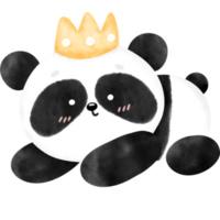 carino panda, panda, acquerello panda, panda illustrazione png