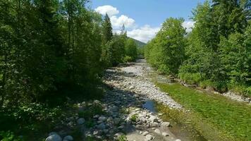 antenne visie van berg beek of rivier- vloeiende in de groen vallei. tatra bergen, Slowakije video