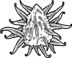 Weed bud botanical plant logo illustrations monochrome vector illustrations for your work logo, merchandise t-shirt, stickers and label designs, poster, greeting cards advertising business company
