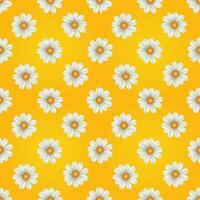White lily with yellow background vector
