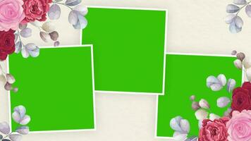 verde tela Casamento flores fundo video