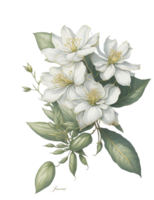vattenfärg blombukett, vattenfärg bukett blomma, bröllop blomma, vattenfärg blommig design, botanisk blomma, vattenfärg dekoration, ai genererad png