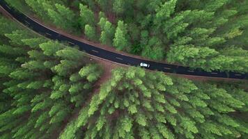 Aerial view of a car driving on a country road in a forest in the evening at twilight. Cinematic drone shot flying over gravel road in pine tree forest video