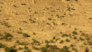 Heat haze in desert video