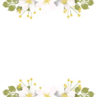 cadre fleur aquarelle png