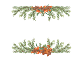 horizontal marco de acuarela mar espino cerval, estrella anís. mano dibujado ilustración para tarjeta postal diseño, invitación plantilla, Navidad y nuevo año tarjetas png