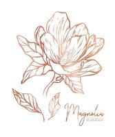 Magnolia flower line illustration set. Hand drawn rose gold outline wedding herb, elegant leaves for invitation save the date card. Botanical trendy greenery vector collection for web, print, posters.