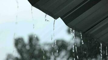Slow motion, rain, raindrops background video