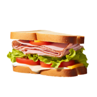 délicieux sandwich non Contexte png