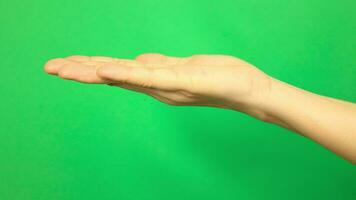 Hand auf Grün Hintergrund, Grün Bildschirm von Hand video