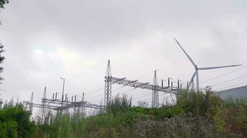 energia generazione pianta. video