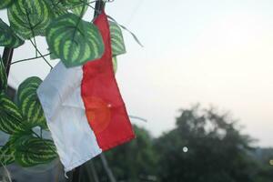 The beauty of the morning in Indonesia in summer, the sky is so bright colored by the sun. photo
