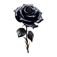 ai généré noir Rose isolé sur transparent Contexte png