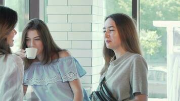 Three lovely young women chatting having coffee together at the cafe video