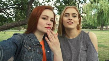 zwei Mädchen nehmen ein Selfie draußen video