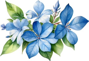 ai genererad vattenfärg målning av cape BLYBLOMMA blomma. ai-genererad png