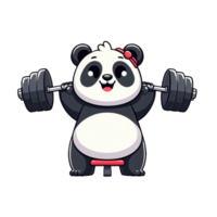 carino panda sollevamento manubrio Palestra fitness cartone animato vettore icona illustrazione png