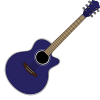guitarra acustica vector