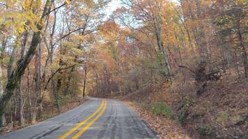 conduite sur le route pendant magnifique de pointe l'automne tomber feuillage vibrant couleurs des arbres feuilles Arkansas scénique campagne video