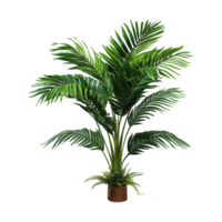 AI generated Tropical plant isolated on transparent background png