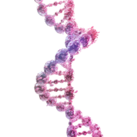 AI generated DNA Structure Element on Transparent background - Ai Generated png