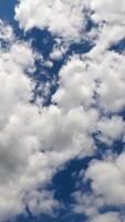 bouffi aéré des nuages transformer à le vent. céleste magnifique bleu ciels avec des nuages laps de temps. verticale vidéo video