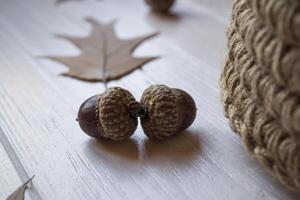 Oak acorns on a wooden desk, close up. photo