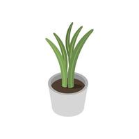 Isometric potted plant vector