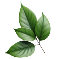 ai gerado folha verde isolar png transparente