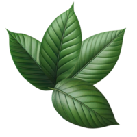 ai gerado folha verde isolar png transparente