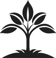 Natures Mark Vector Tree Plantation Symbol in Black Leafy Commitment Dynamic Black Logo Design for Green Initiatives