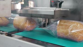 emballé saucisses sur usine convoyeur ceinture, scellé saucisses sur une convoyeur ceinture dans une nourriture emballage section de une usine. video