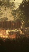 Tranquil dining experience in a serene outdoor setting video