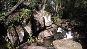 cascada en el montaña bosque aéreo ver video