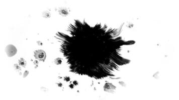 Preto tinta solta video