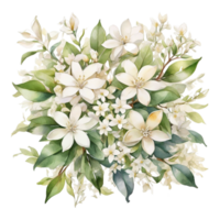 akvarell blombukett png