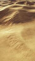 sand dunes at sunset in the Sahara Desert in Libya video