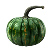 zucca verde su sfondo trasparente png