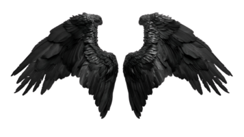 Realistic Style Black Angel Wings No Background Perfect for Print on Demand T-Shirt Design Applicable to Any Context png
