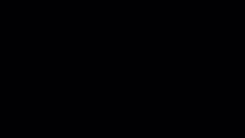 Japonais sensu transitions. 8collier alpha canal video