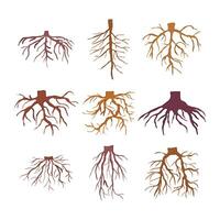 tree root set cartoon illustration vector