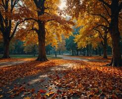 Autumn leaves background. Yellow leaves background. Autumn leaves background. photo