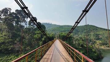 ein Suspension Brücke erstreckt sich Über üppig Grün Wälder und Hügel während ein hell Sommer- Tag, perfekt zum reisen, Erkundung, und Abenteuer thematisch Projekte video