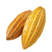 cacau, fruta realista ilustração. realista transparente arquivo. brincar modelo para obra de arte gráfico Projeto png