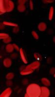 rood bloed cellen in beweging in de bloedstroom in een slagader. ontwerp. 3d vloeiende hemoglobine cellen op reis door een ader. video