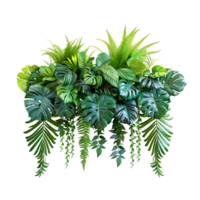 Hanging Tropical Plants Cut Out png