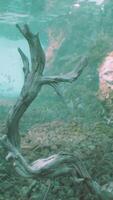 un submarino ver de rocas y agua video