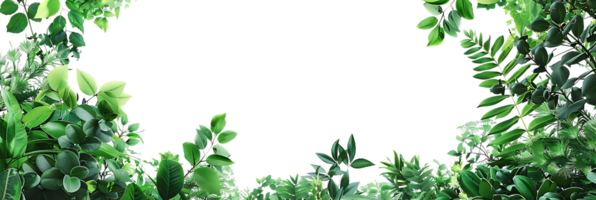 verde folhas quadro, Armação ilustração png